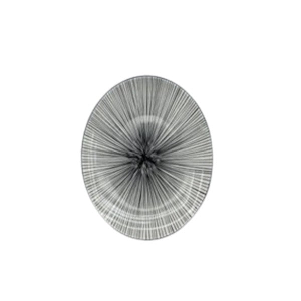 10.5"Flat Plate 6-36c-105P 2010