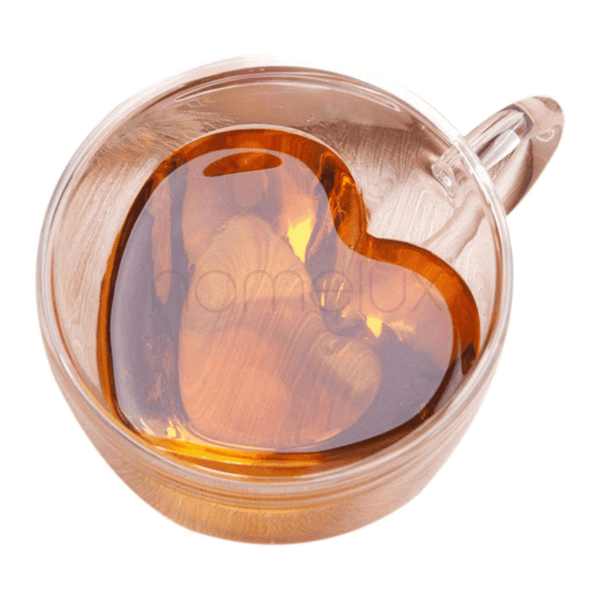 Double Wall Glass Mug